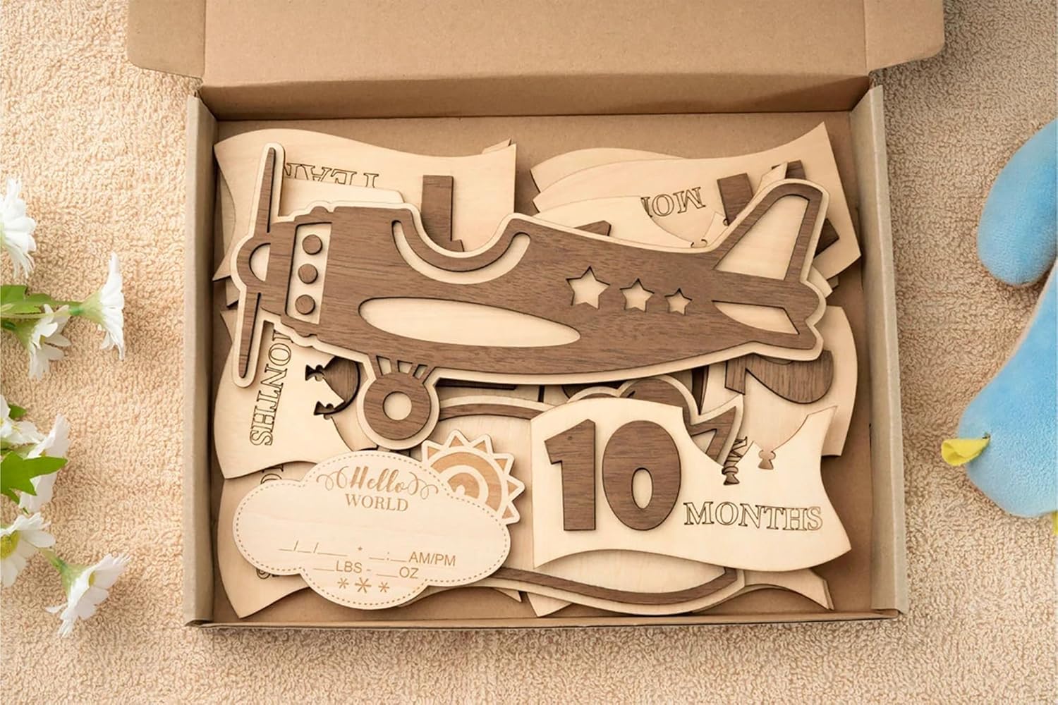Baby Monthly Milestone Airplane Set – Wooden Milestone Cards
